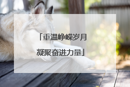 重温峥嵘岁月 凝聚奋进力量