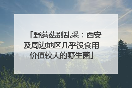 野蘑菇别乱采：西安及周边地区几乎没食用价值较大的野生菌