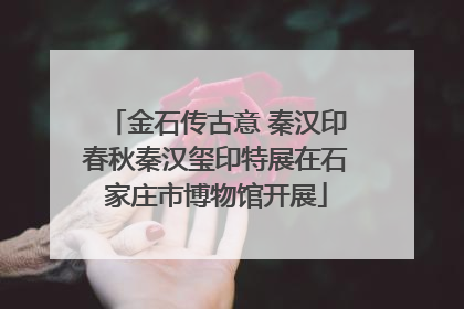 金石传古意 秦汉印春秋秦汉玺印特展在石家庄市博物馆开展