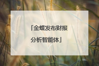 金蝶发布财报分析智能体