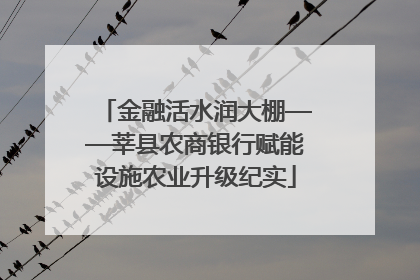 金融活水润大棚——莘县农商银行赋能设施农业升级纪实