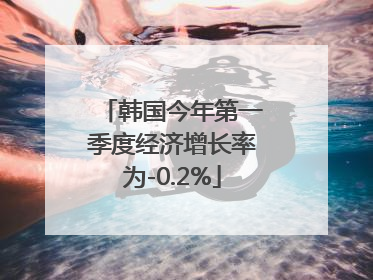 韩国今年第一季度经济增长率为-0.2%
