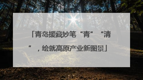 青岛援藏妙笔“青”“清”，绘就高原产业新图景