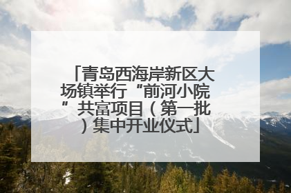 青岛西海岸新区大场镇举行“前河小院”共富项目（第一批）集中开业仪式