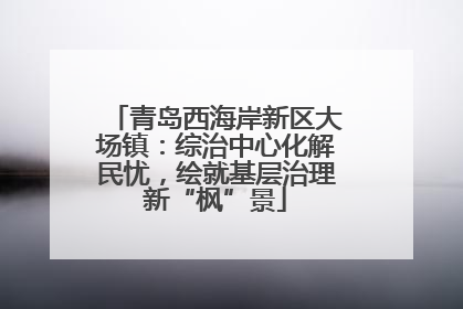 青岛西海岸新区大场镇：综治中心化解民忧，绘就基层治理新“枫”景
