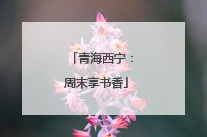 青海西宁：周末享书香