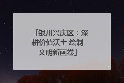 银川兴庆区：深耕价值沃土 绘制文明新画卷