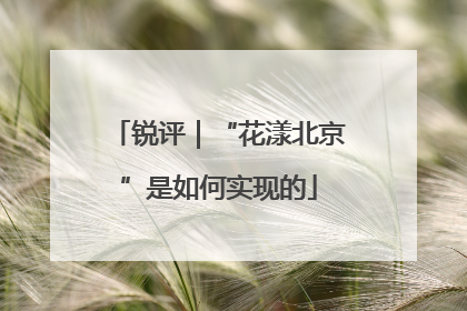 锐评｜“花漾北京”是如何实现的