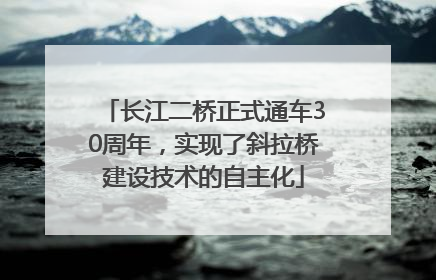 长江二桥正式通车30周年，实现了斜拉桥建设技术的自主化