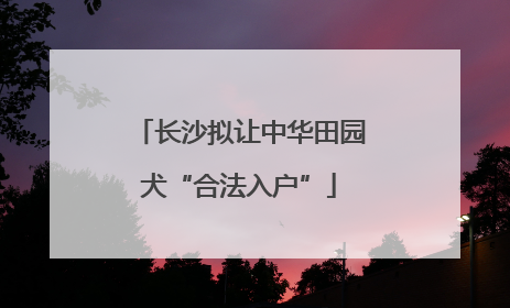 长沙拟让中华田园犬“合法入户”