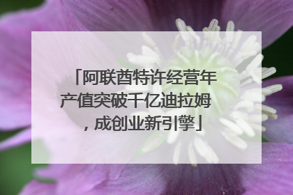 阿联酋特许经营年产值突破千亿迪拉姆，成创业新引擎