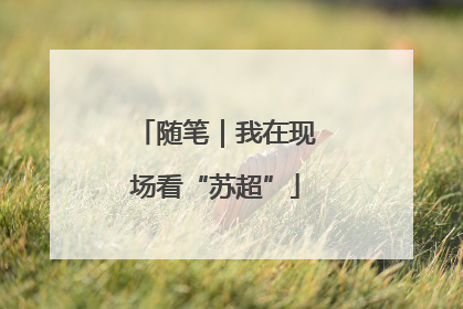 随笔｜我在现场看“苏超”
