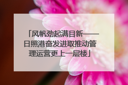 风帆劲起满目新——日照港奋发进取推动管理运营更上一层楼