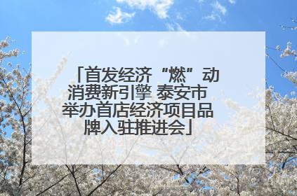 首发经济“燃”动消费新引擎 泰安市举办首店经济项目品牌入驻推进会