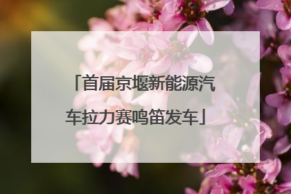首届京堰新能源汽车拉力赛鸣笛发车