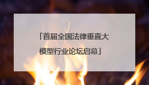 首届全国法律垂直大模型行业论坛启幕