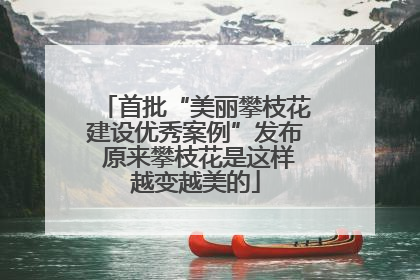 首批“美丽攀枝花建设优秀案例”发布 原来攀枝花是这样越变越美的