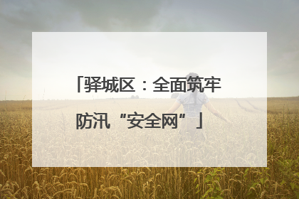 驿城区：全面筑牢防汛“安全网”