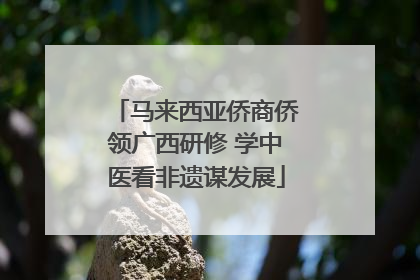 马来西亚侨商侨领广西研修 学中医看非遗谋发展