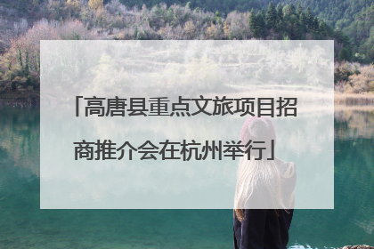 高唐县重点文旅项目招商推介会在杭州举行