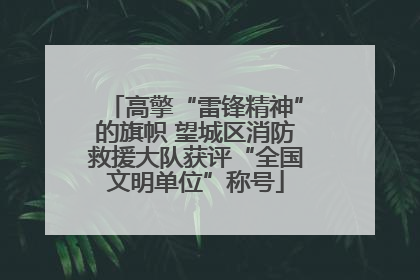 高擎“雷锋精神”的旗帜 望城区消防救援大队获评“全国文明单位”称号