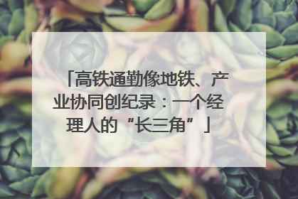高铁通勤像地铁、产业协同创纪录：一个经理人的“长三角”