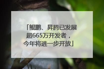 鲲鹏、昇腾已发展超665万开发者，今年将进一步开放