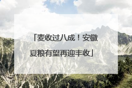 麦收过八成！安徽夏粮有望再迎丰收