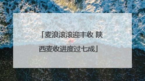 麦浪滚滚迎丰收 陕西麦收进度过七成