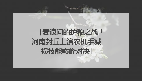 麦浪间的护粮之战！河南封丘上演农机手减损技能巅峰对决