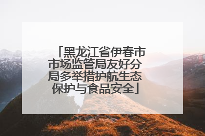 黑龙江省伊春市市场监管局友好分局多举措护航生态保护与食品安全