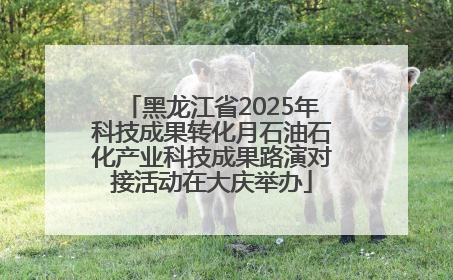 黑龙江省2025年科技成果转化月石油石化产业科技成果路演对接活动在大庆举办