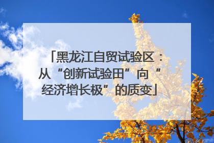 黑龙江自贸试验区：从“创新试验田”向“经济增长极”的质变