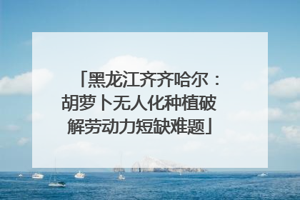 黑龙江齐齐哈尔：胡萝卜无人化种植破解劳动力短缺难题