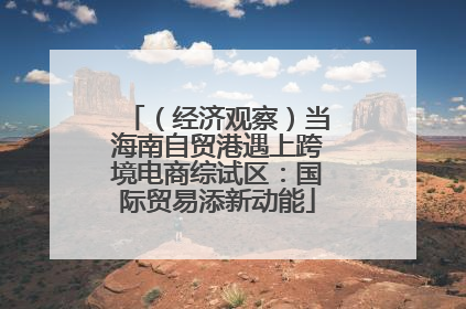 （经济观察）当海南自贸港遇上跨境电商综试区：国际贸易添新动能