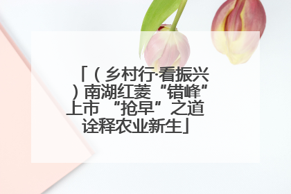 （乡村行·看振兴）南湖红菱“错峰”上市 “抢早”之道诠释农业新生