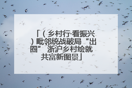 （乡村行·看振兴）毗邻统战破局“出圈” 浙沪乡村绘就共富新图景