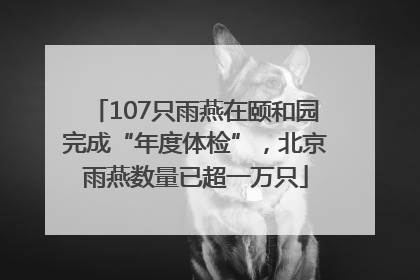 107只雨燕在颐和园完成“年度体检”，北京雨燕数量已超一万只