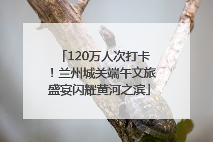 120万人次打卡！兰州城关端午文旅盛宴闪耀黄河之滨