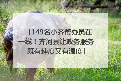 149名小齐帮办员在一线！齐河县让政务服务既有速度又有温度
