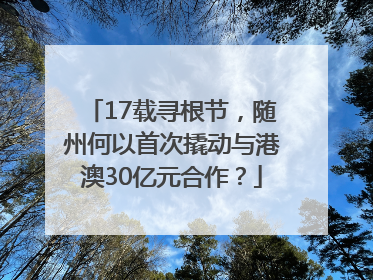 17载寻根节，随州何以首次撬动与港澳30亿元合作？