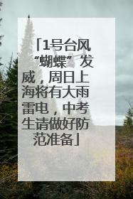 1号台风“蝴蝶”发威，周日上海将有大雨雷电，中考生请做好防范准备