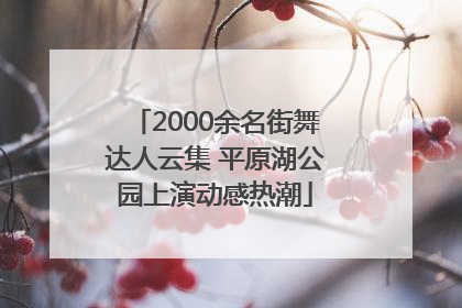 2000余名街舞达人云集 平原湖公园上演动感热潮