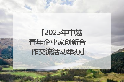 2025年中越青年企业家创新合作交流活动举办