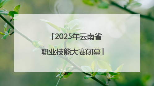 2025年云南省职业技能大赛闭幕