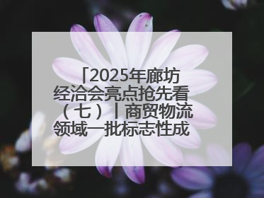2025年廊坊经洽会亮点抢先看（七）丨商贸物流领域一批标志性成果将集中发布