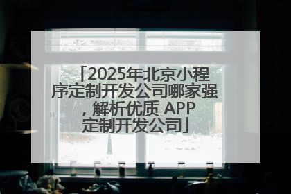 2025年北京小程序定制开发公司哪家强，解析优质 APP 定制开发公司