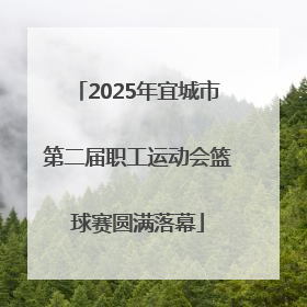 2025年宜城市第二届职工运动会篮球赛圆满落幕