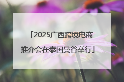 2025广西跨境电商推介会在泰国曼谷举行