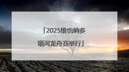 2025维也纳多瑙河龙舟赛举行